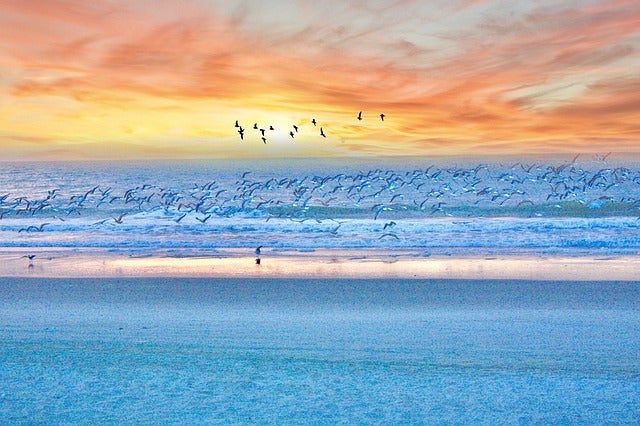 myrtle-beach